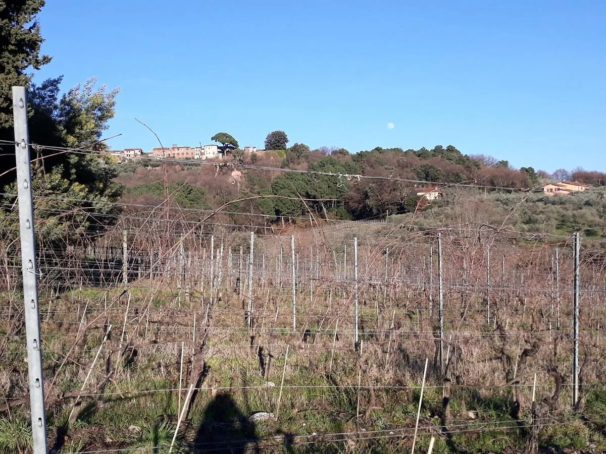 La Torre Wine Resort Montecarlo