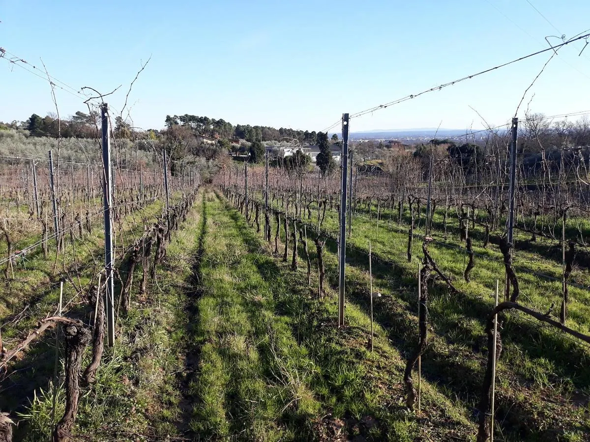 Venkovský dům La Torre Wine Resort Montecarlo